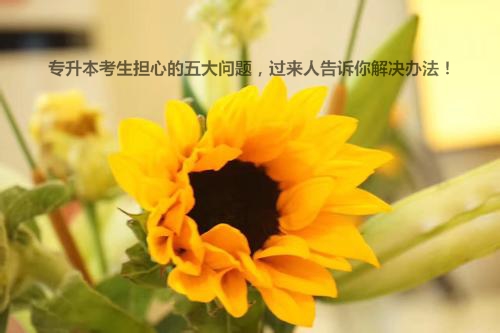 u=2936942478,2363504912&fm=11&gp=0_看图王.jpg