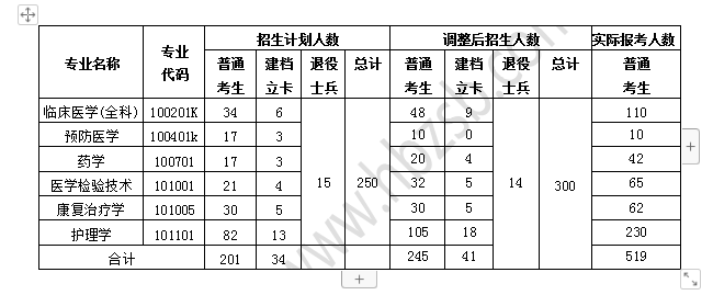 湖北医药学院.png